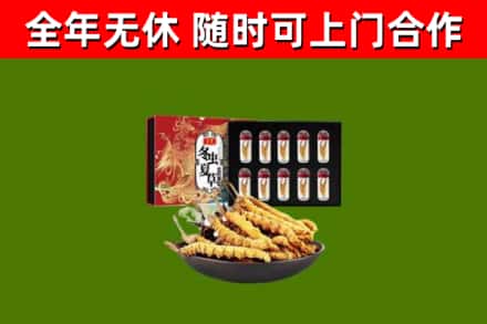 墨玉回收冬虫夏草价格